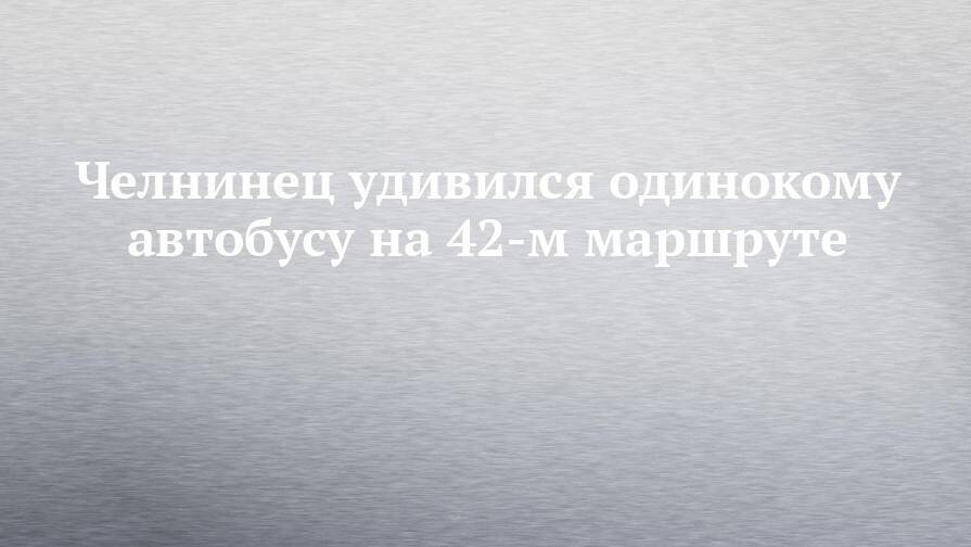 Челнинец удивился одинокому автобусу на 42-м маршруте