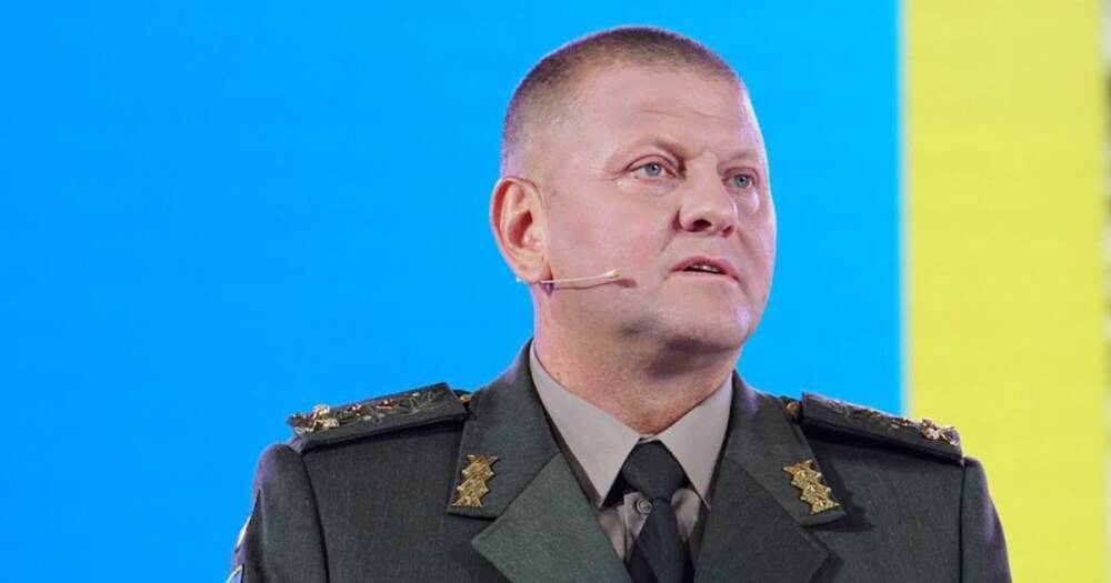 "Вас используют для кровопролития": главнокомандующий ВСУ обратился к жителям Донбасса