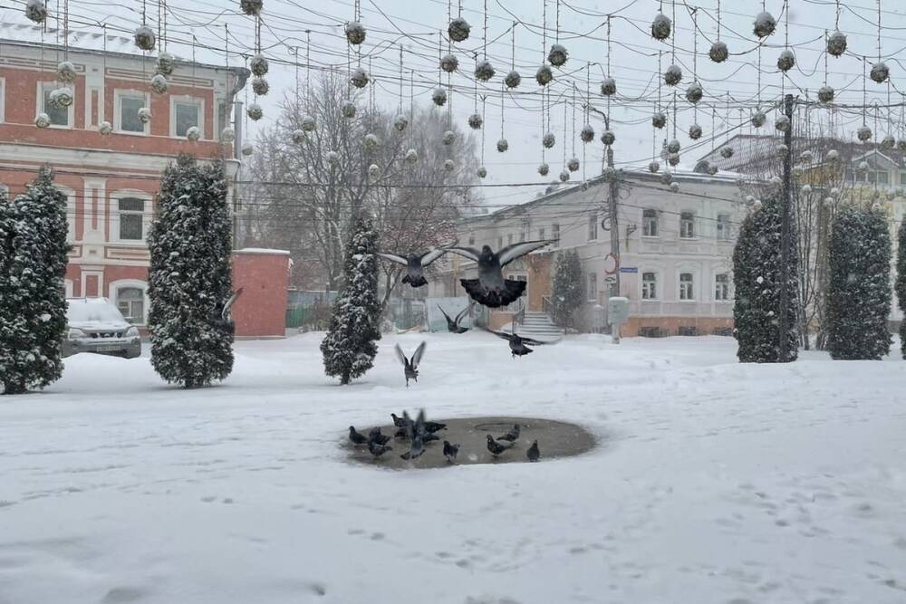 20 февраля в Рязанской области ожидается мокрый снег и до +5 градусов