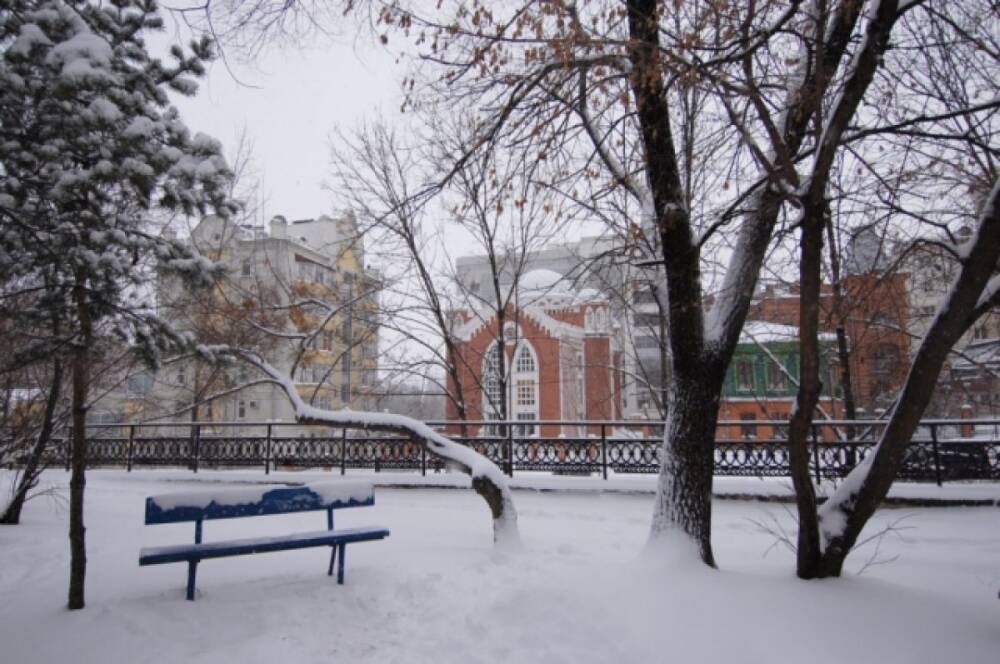 Погода в Хабаровском крае и ЕАО на 2 февраля