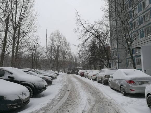 В Москве минус пять и небольшой снегопад