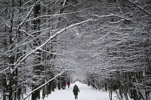 Синоптики прогнозируют небольшой снегопад в Москве 2 февраля