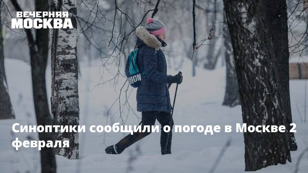 Синоптики сообщили о погоде в Москве 2 февраля