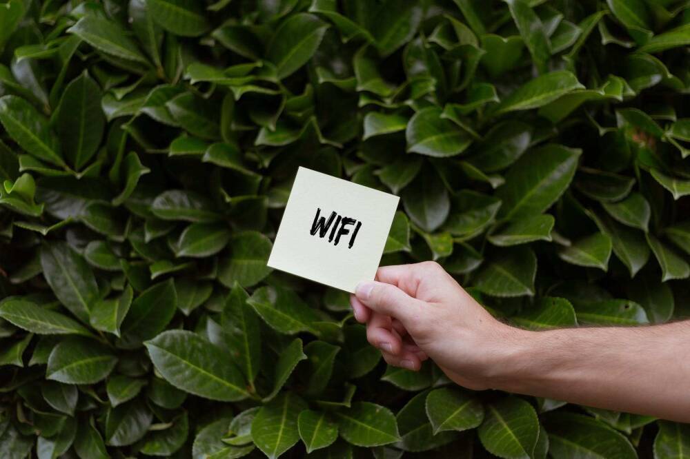 Эксперт Кувиков предупредил о новой схеме мошенничества через бесплатные точки Wi-Fi