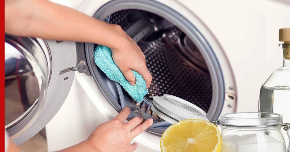 Как избавиться от плесени в стиральной машине: простой и дешевый способ