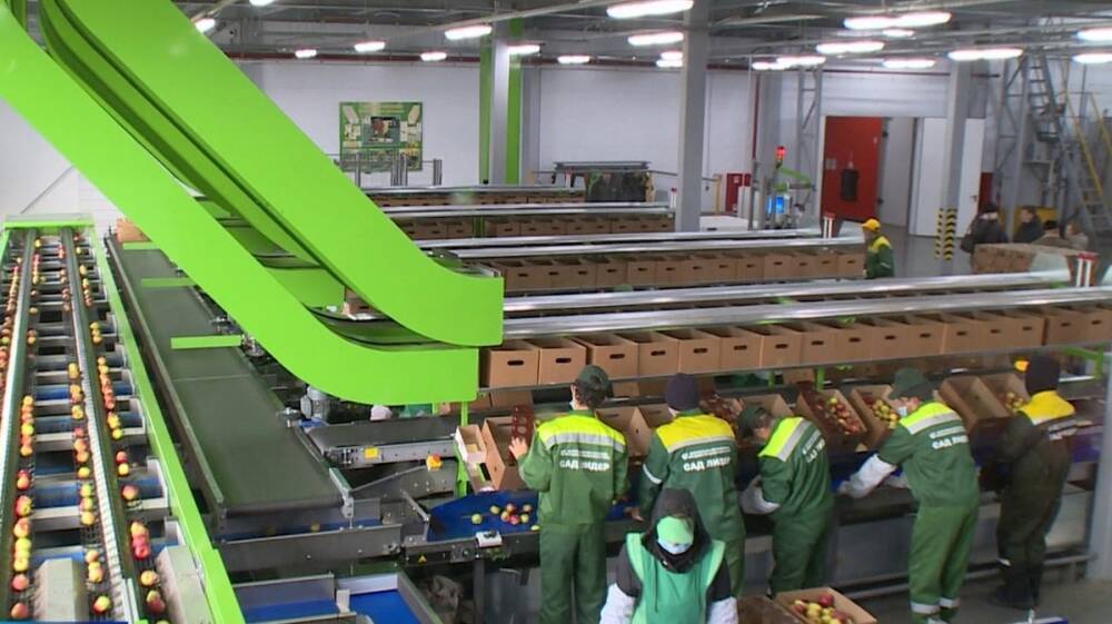 Воронежская область стала лидером в России по производству органических товаров
