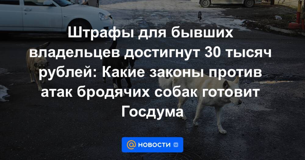 Штрафы для бывших владельцев достигнут 30 тысяч рублей: Какие законы против атак бродячих собак готовит Госдума