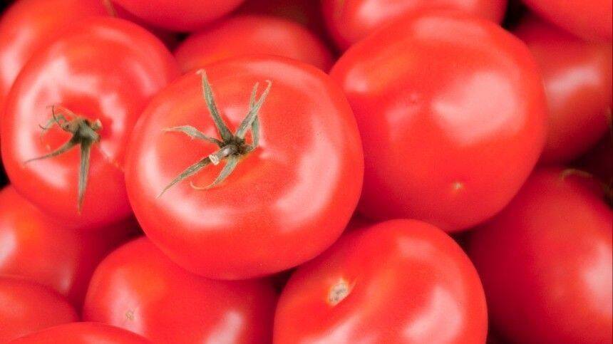 Скрытый враг: когда из-за употребления помидоров можно впасть в кому