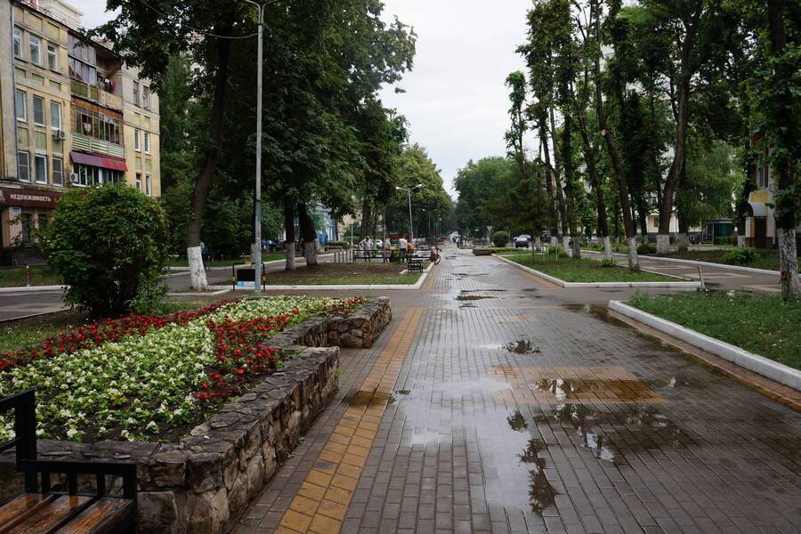 Ректор ВГАС предложил построить в центре Воронежа Аллею олимпийских чемпионов