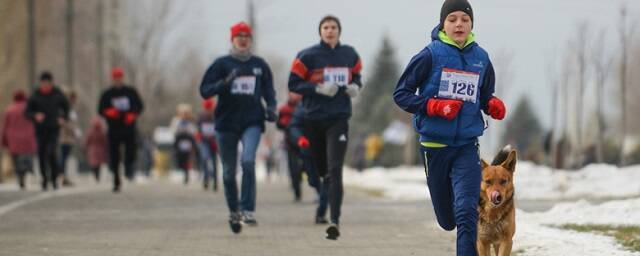 В Волгограде участникам марафона в честь победы в Сталинградской битве вернут взносы