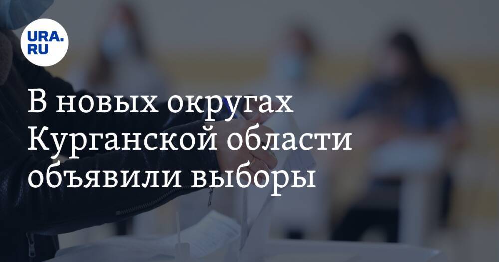 В новых округах Курганской области объявили выборы