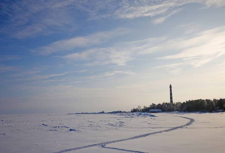 Пользователей Сети порадовали кадром утра уходящей зимы в Ленобласти