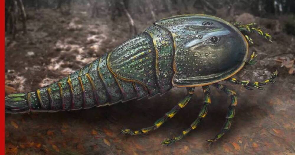 Ученые обнаружили новый вид гигантского древнего морского скорпиона