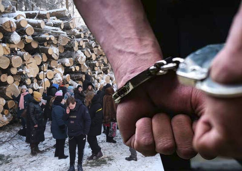 «Это не публичная порка, а закономерный сценарий работы маховика репрессий»: московские депутаты о задержании защитников Троицкого леса