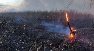 Жители азербайджанского села подключились к тушению природного пожара