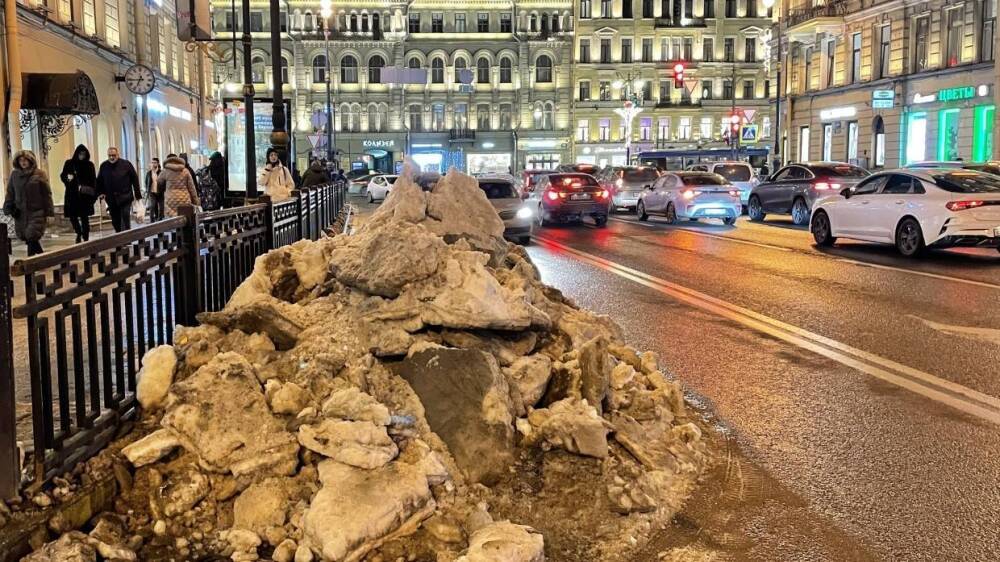 Городские растения могут погибнуть из-за некачественной уборки снега в Петербурге