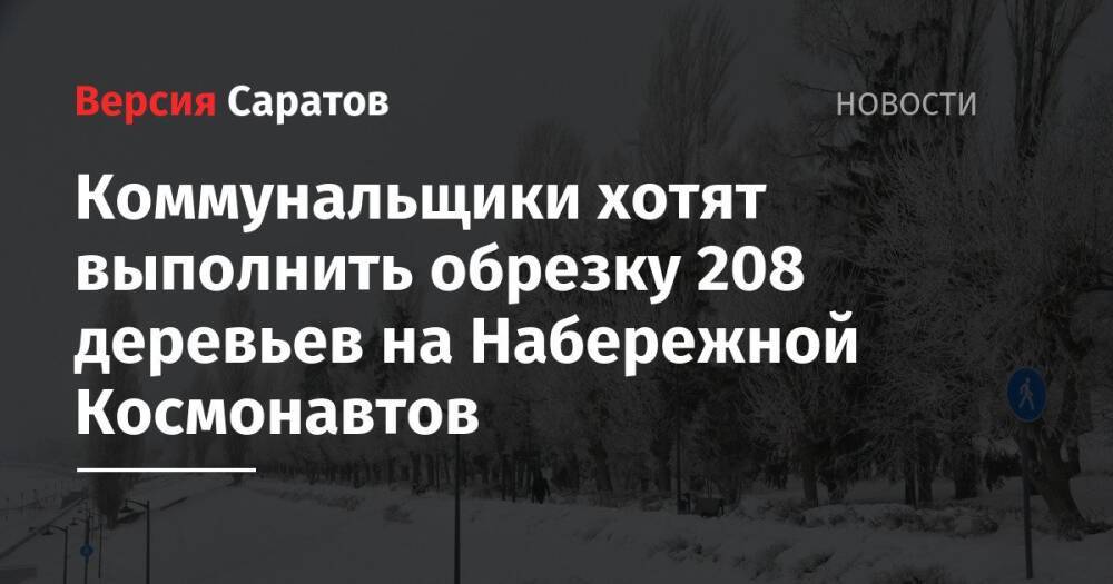 Коммунальщики хотят выполнить обрезку 208 деревьев на Набережной Космонавтов