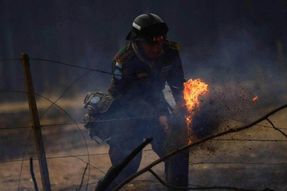 Аргентинский блогер собрал $1 млн пожертвований для борьбы с пожарами