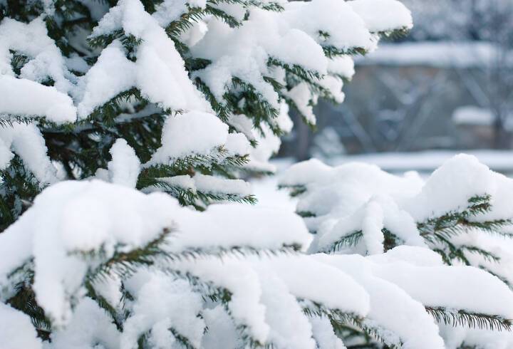 В понедельник в Петербурге ожидаются плюсовые температуры и снег