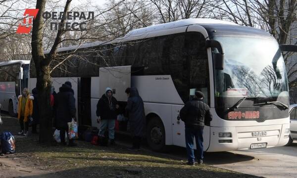 Беженцев из Донбасса разместят в оздоровительных лагерях Ленинградской области