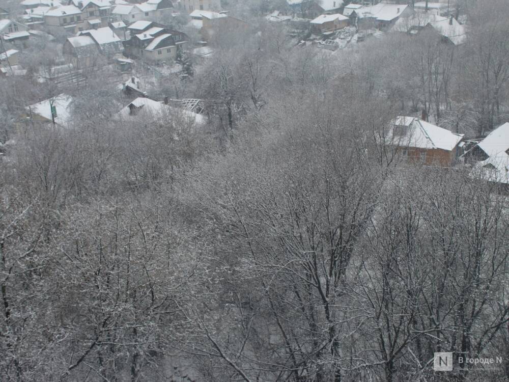 Температурные качели от +2°С до -8°С ожидаются в Нижнем Новгороде на этой неделе