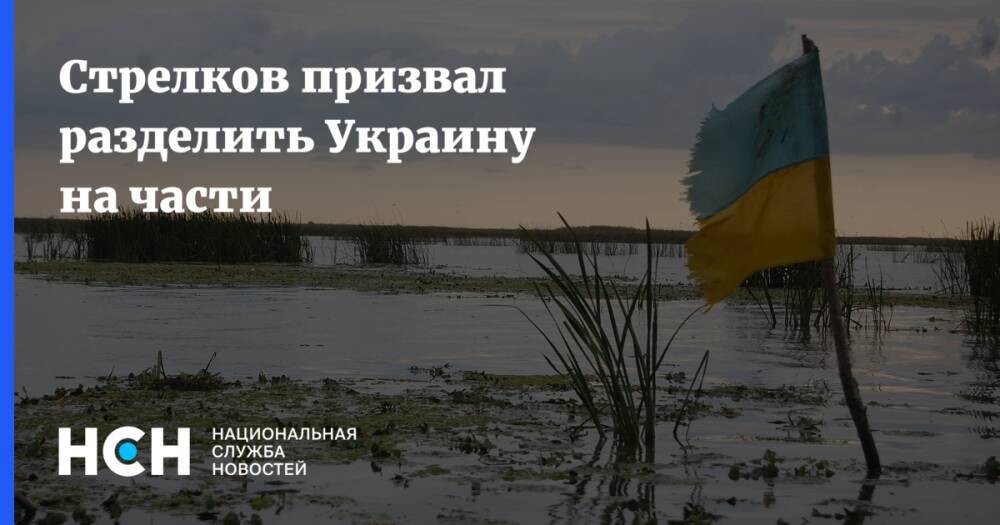 Стрелков призвал разделить Украину на части