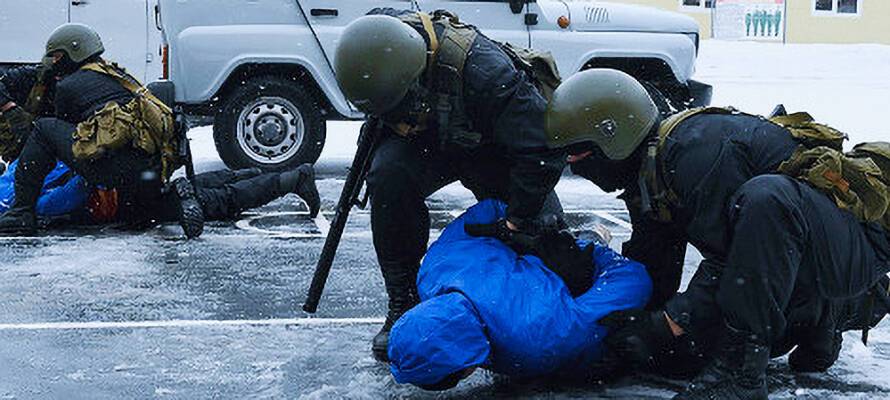 Полицейские арестовали членов банды, поставлявших крупные партии наркотиков в Карелию