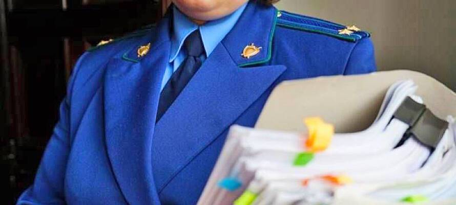 Прокуратура Карелии заинтересовалась поставками опасного молока в детсады и школы республики