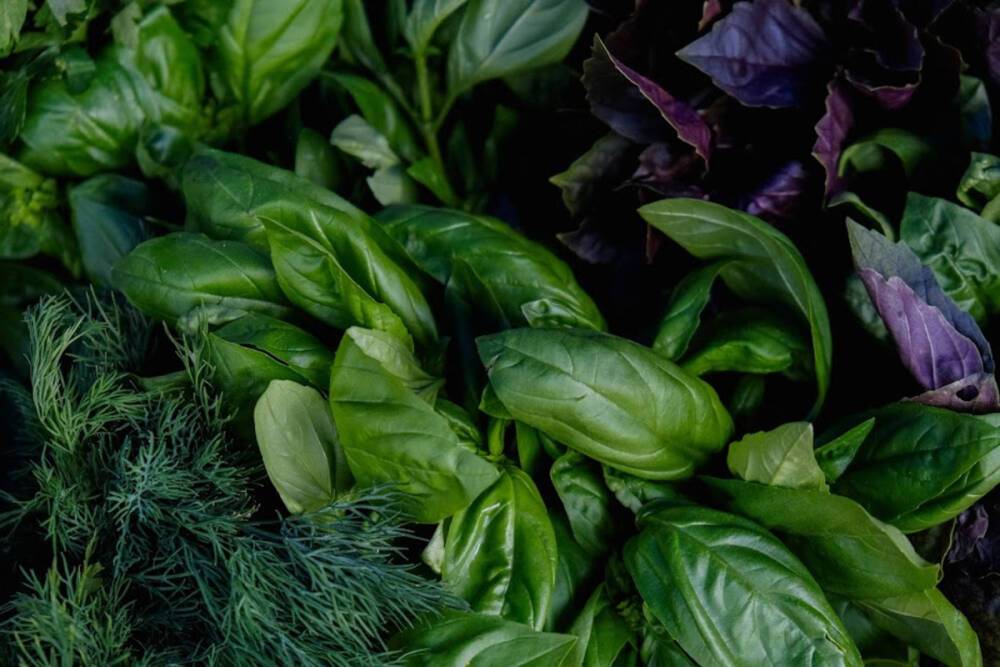 Зеленые листовые овощи и морепродукты укрепляют здоровье мозга