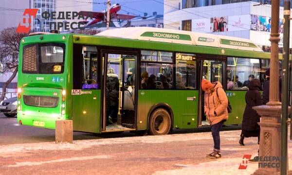 В Красноярске кондуктор завысила цену проезда и высадила девочку из автобуса
