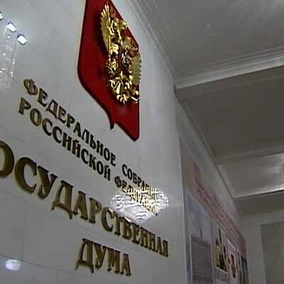 Профильные комитеты рекомендовали Думе одобрить договоры с ЛНР и ДНР