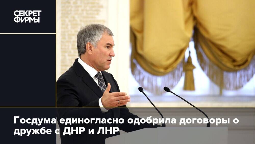 Госдума единогласно одобрила договоры о дружбе с ДНР и ЛНР
