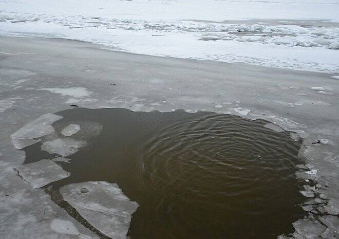 В Дашково-Песочне мужчина провалился под лед на пруду, спасая собаку