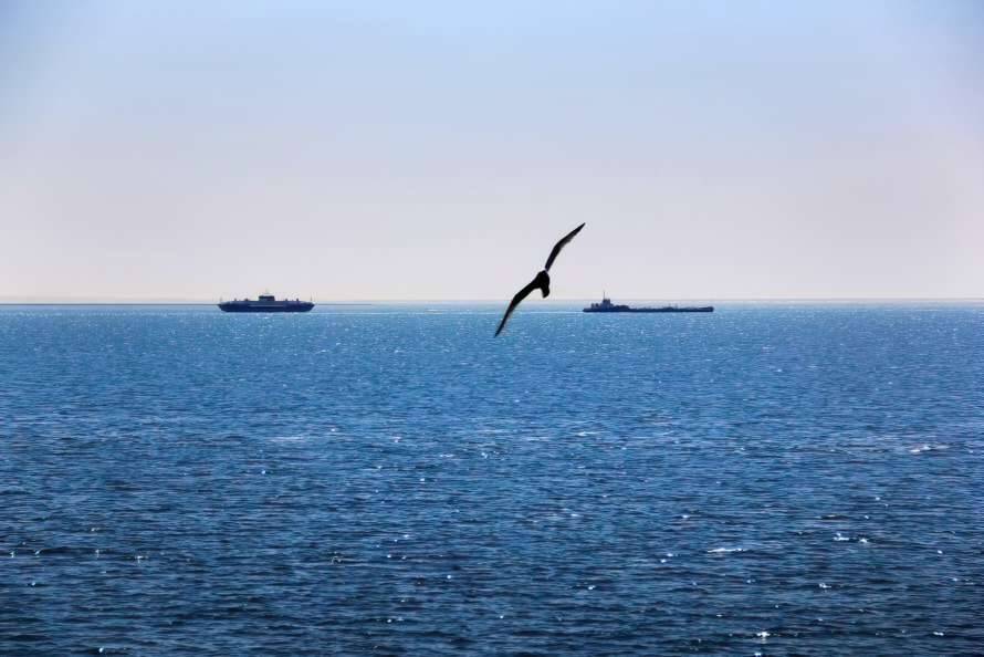В Черном море возобновили свободное судоходство