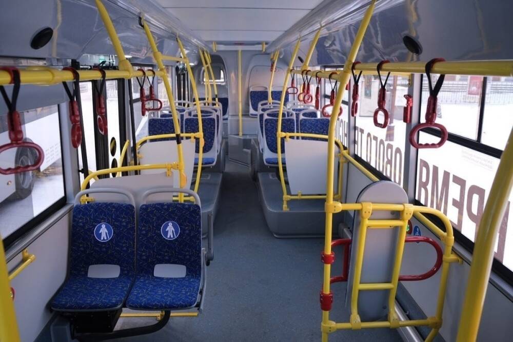 Новгородская область потратит на новые автобусы полмиллиарда рублей