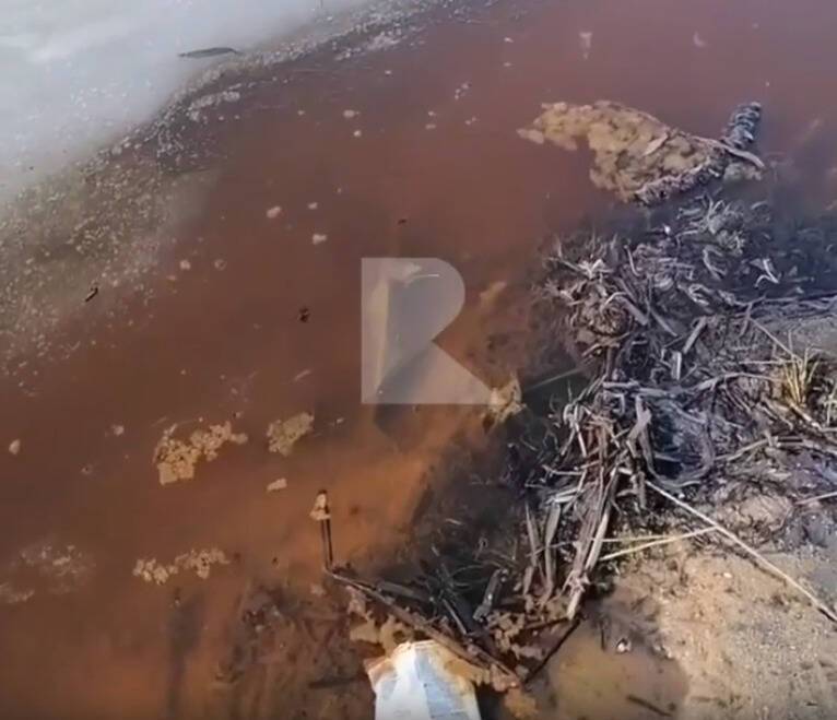 Очевидцы засняли нечистоты в реке Старице в Солотче