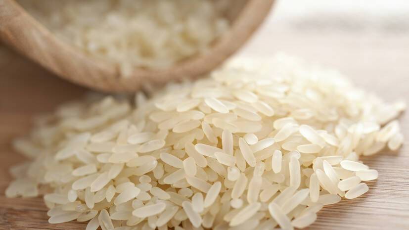 Диетолог Королёва рассказала о свойствах белого риса