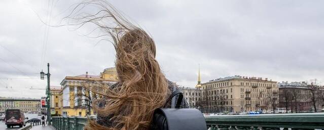 МЧС предупредило петербуржцев об ухудшении погоды и сильном ветре