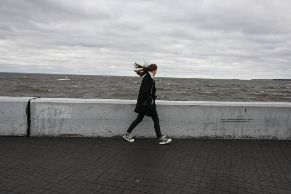Ветер на грани шторма и гололедица испортят петербуржцам прогулки 24 февраля