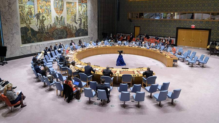 Киев запросил срочное заседание Совбеза ООН из-за обращения ЛНР и ДНР к РФ