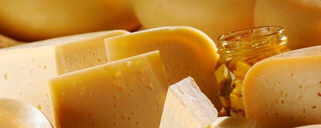 В России за пять лет потребление сыров выросло на 26%