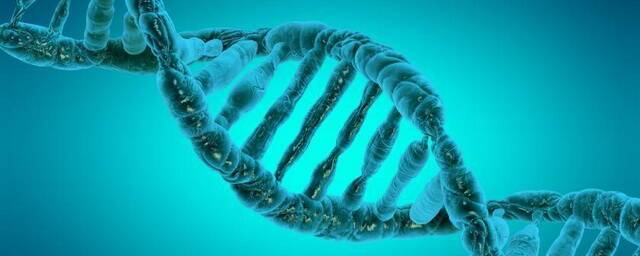 Учёные обнаружили в человеческом ДНК вирус, сохранившийся со времён динозавров.