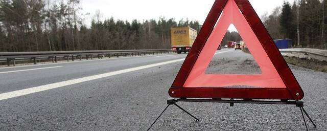 Два пешехода погибли в ДТП с грузовиком на Ленинградском шоссе в Подмосковье