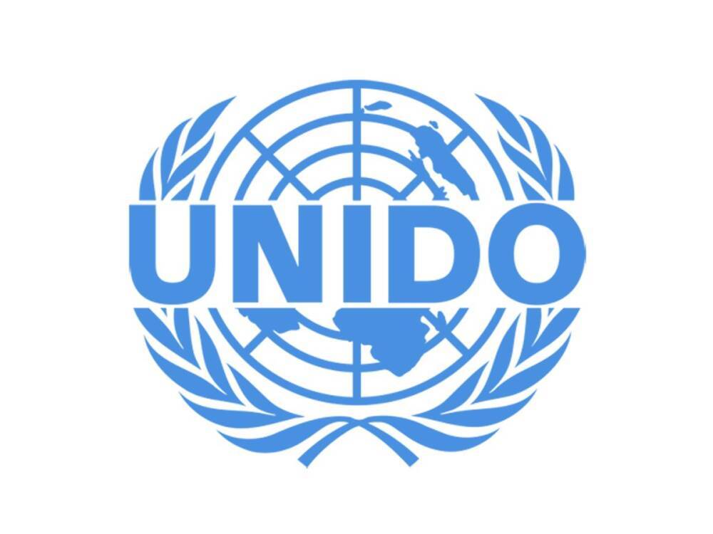 В UNIDO рассказали об инициативах для поддержки сферы энергетики Грузии