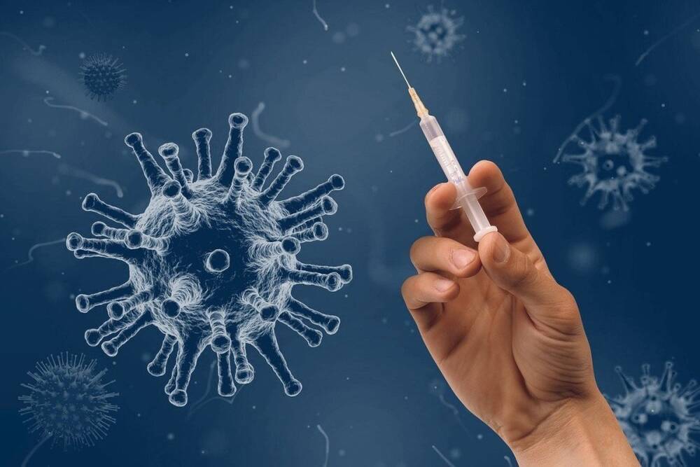 В Курской области выявили за сутки более 600 случаев заражения коронавирусом