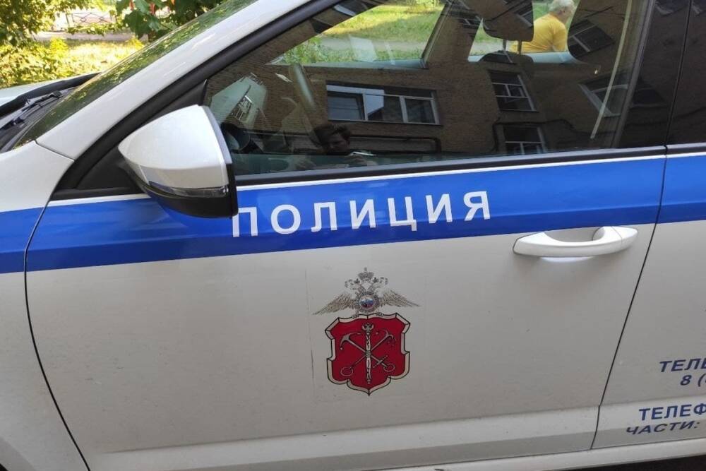 Петербуржец доставил в больницу сбитую им на проспекте Героев 7-летнюю девочку