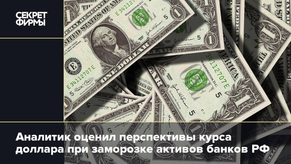 Аналитик оценил перспективы курса доллара при заморозке активов банков РФ
