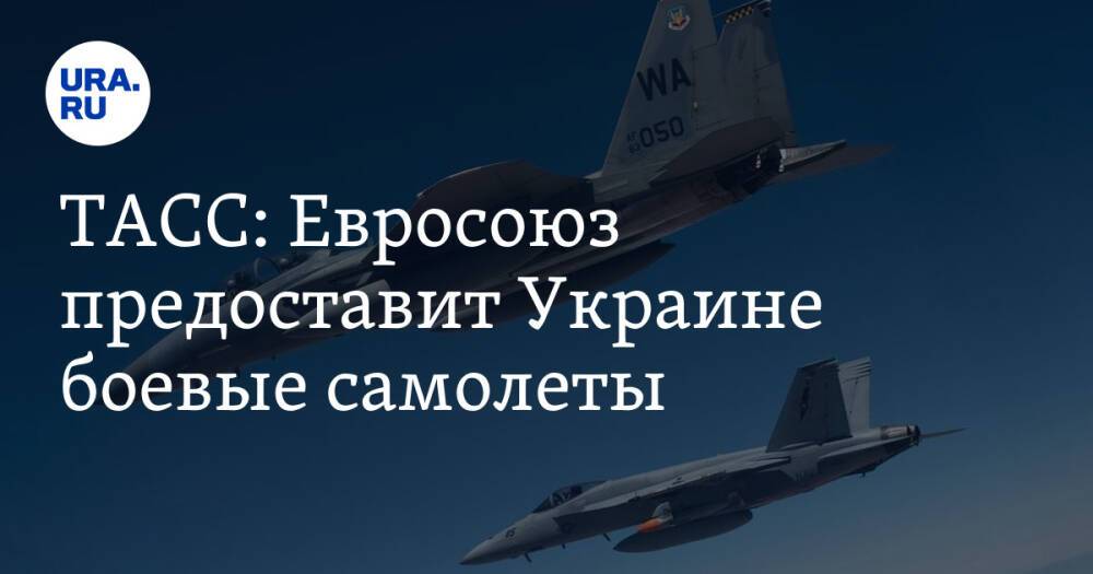 ТАСС: Евросоюз предоставит Украине боевые самолеты