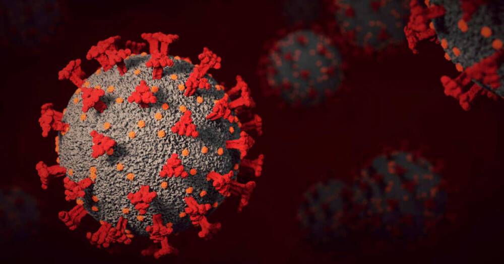 На МКС проведут эксперименты с белками коронавируса