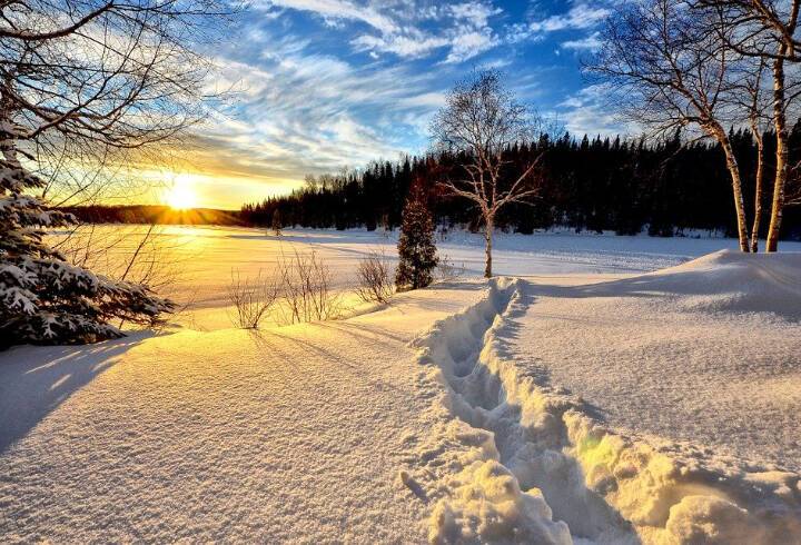 Последний день зимы в Петербурге будет сухим и солнечным